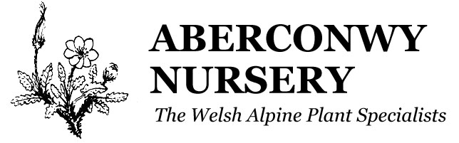 Aberconwy Nursery Banner